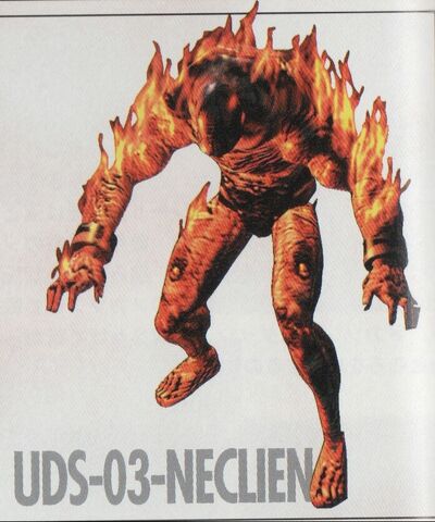 File:Scan-17-1.jpg