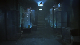 BasementStairs