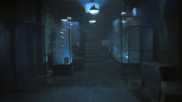 File:BasementStairs.png