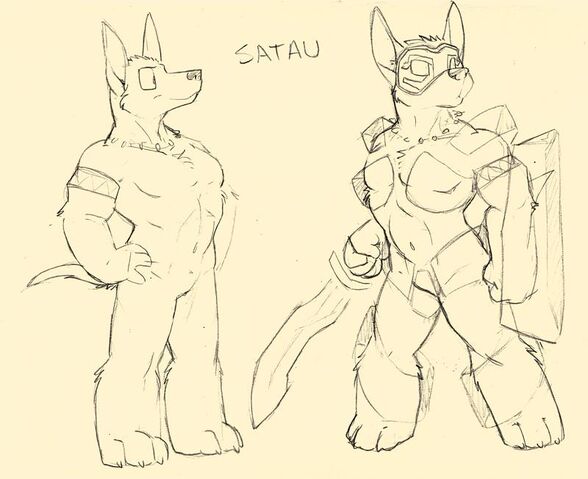 File:SatauConcept.jpeg