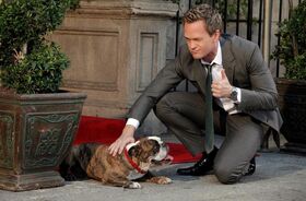 Barney Dog.jpg