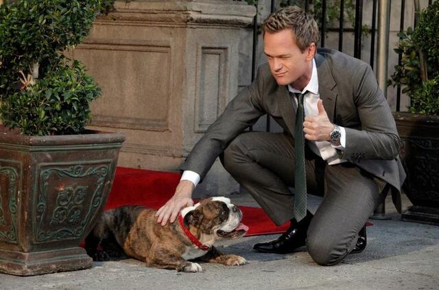 Datei:Barney Dog.jpg