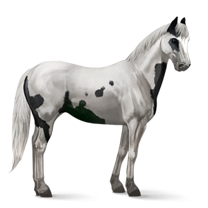 File:Black Tovero.png