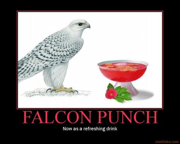 File:Falcon-punch-falcon-punch-drink-demotivational-poster-1232958157.jpg