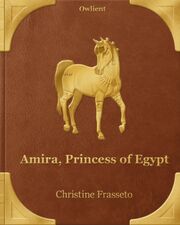 Amira Book
