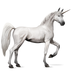 unicorn howrse layouts unicorn howrse layouts