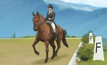 Dressur.png