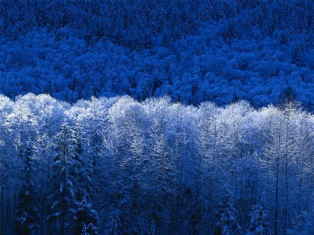 Archivo:Invierno.jpg