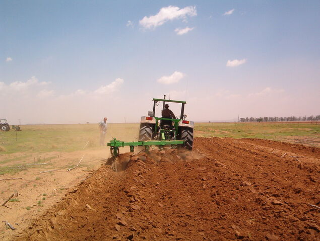 File:Old plough.jpg
