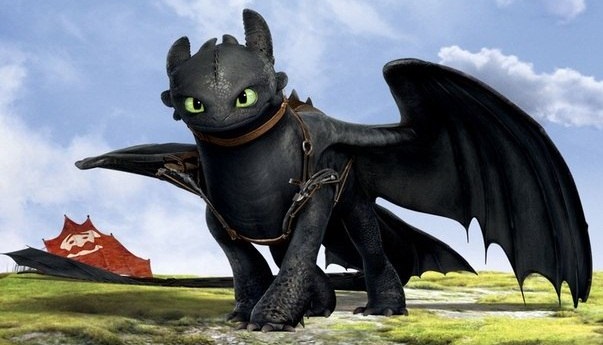 Image result for toothless