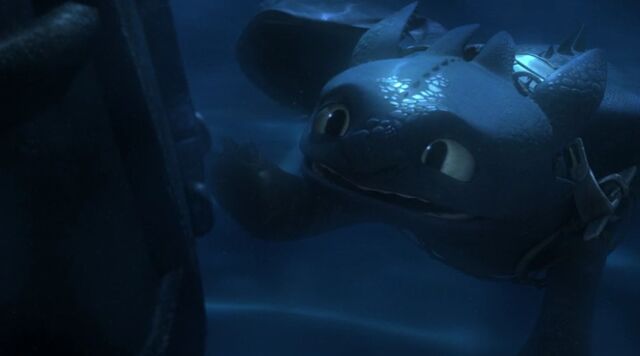 File:Toothless(102).jpg