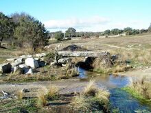 Rolinares