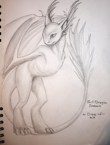 File:Draginfli's Frill Dragon.png