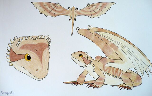 File:Draginfli's Bearded Dragon.jpg