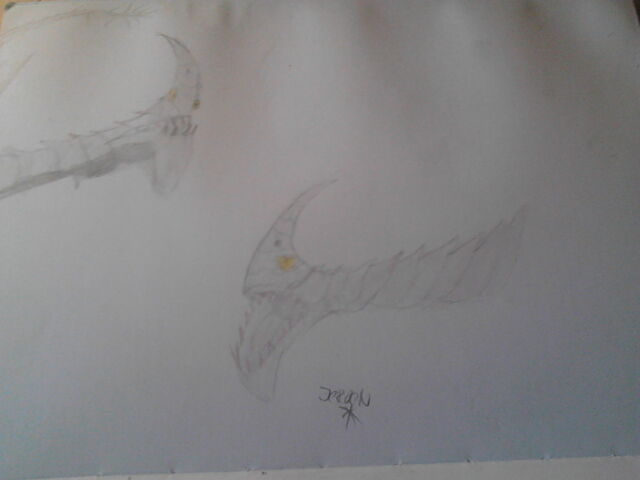 File:Razorwhip head drawings.jpg