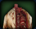 File:CarrionCarcass.jpg