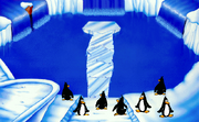 Penguins Exhibit 2