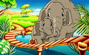 Elephants Exhibit
