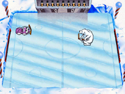 Ice Hockey