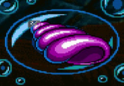 Beautiful Shell