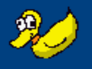 Rubber Ducky