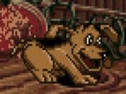 Puppy
