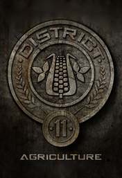 District11