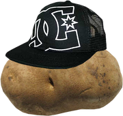 Brotato