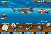 HammerFezhead