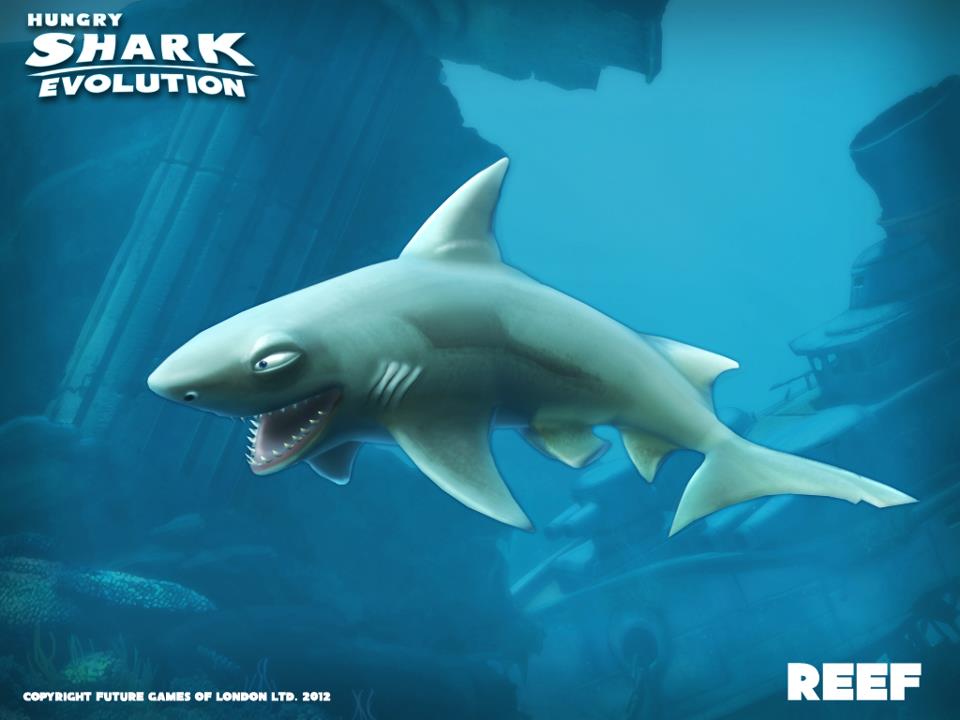 Shark | Hungry Shark Wiki | FANDOM powered by Wikia