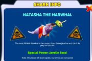 NatNarwhalInfo