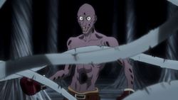 Bonolenov sin vendas.png