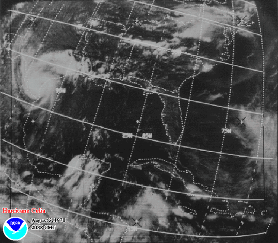 File:Hurricane Celia at landfall.gif