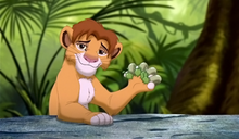 Simba-adolescente