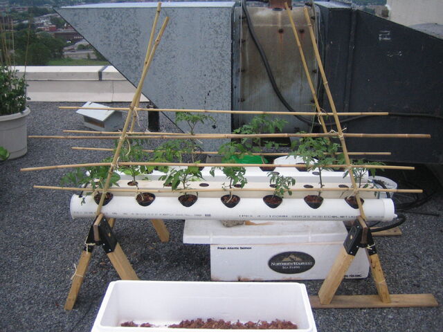 File:Solar DFT System Overview02.jpg