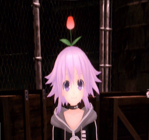 File:Tulip.png