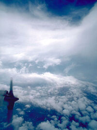 Eye of Hurricane Emily 1987