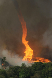 Firenado 3