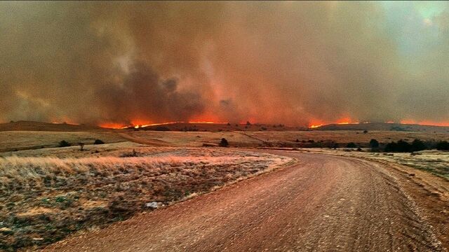 File:Wildfire (7).jpg