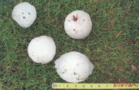 File:Hail (18).jpg
