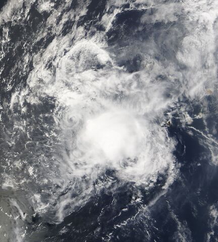 File:Ophelia 1981.jpg