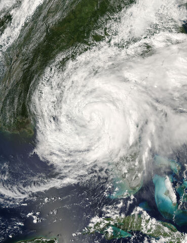 File:Frances2.jpg