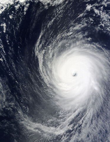 File:Maria.2020.jpg