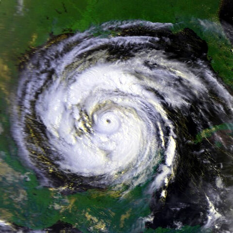 File:Allen.jpg