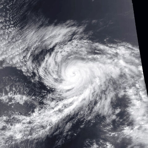File:Hernan 2014.jpg