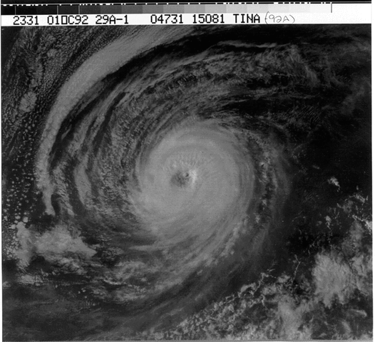 File:Hurricane Tina 1992.gif