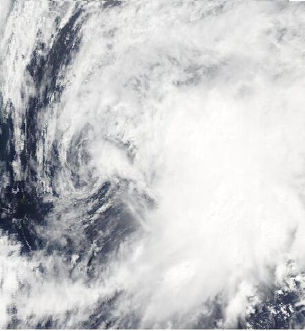 File:Noul.2020.jpg