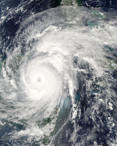 File:Michelle 1981.jpg
