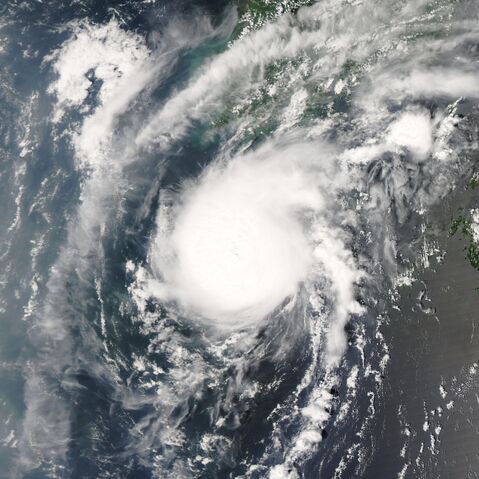 File:In-Fa.2020.jpg