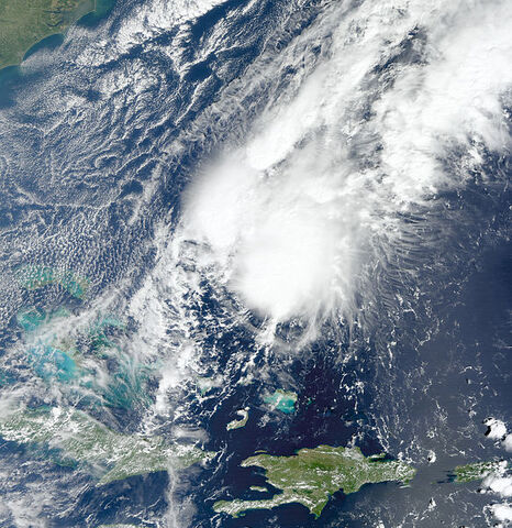 File:Patty 2012.jpg